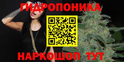 эйфоретик Кандалакша
