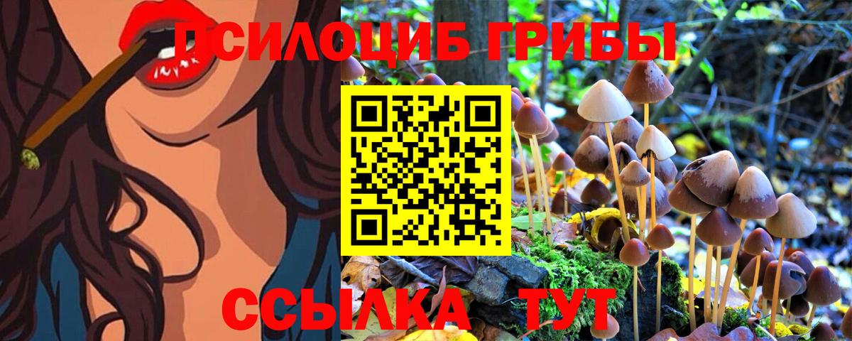 Бирск  Галлюциногенные грибы Psilocybe  Псилоцибиновые грибы Psilocybe  Вход с VPN 